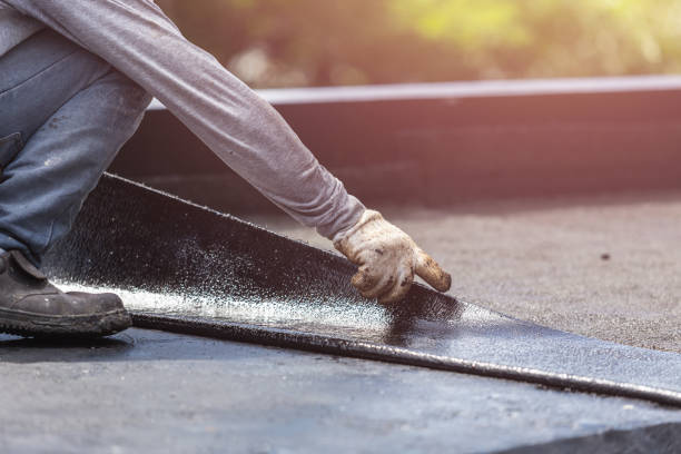 Professional Interior Drainage System technician working in Harbert, MI